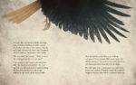 Love Song - Bird Wing Spread - Illustrated Book by Patrick Gilmour, Illustrated by Francesca Filomena